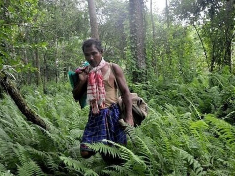 Forest Man of India Jadav Payeng