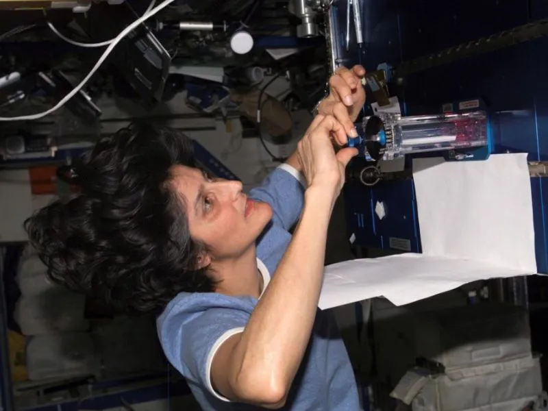 Sunita Williams