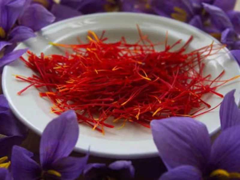 Harsh Patil Saffron