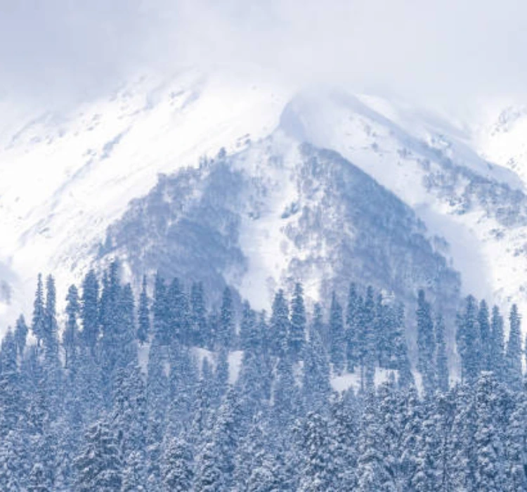 why visit pahalgam