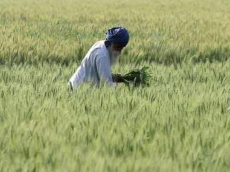 PM Kisan Samman Nidhi Yojana