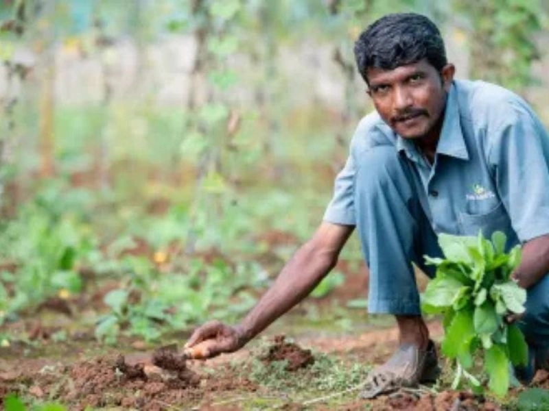 PM Kisan Samman Nidhi Yojana