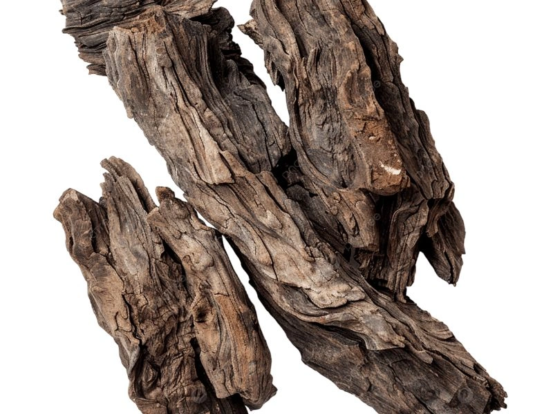 Agarwood
