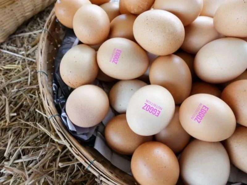 Eggoz